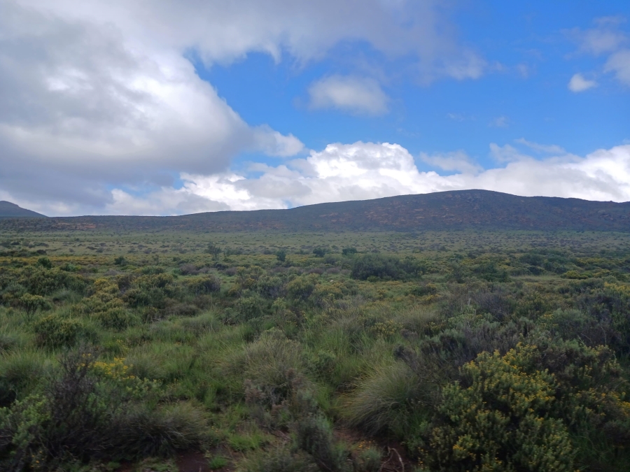 0 Bedroom Property for Sale in Richmond Rural Northern Cape